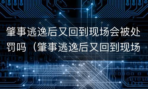 肇事逃逸后又回到现场会被处罚吗（肇事逃逸后又回到现场会被处罚吗知乎）
