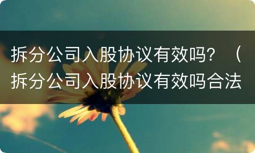 拆分公司入股协议有效吗？（拆分公司入股协议有效吗合法吗）