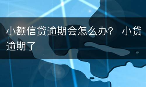 小额信贷逾期会怎么办？ 小贷逾期了