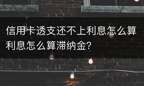 信用卡透支还不上利息怎么算利息怎么算滞纳金？