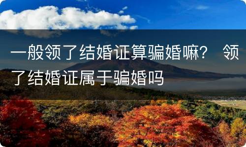 一般领了结婚证算骗婚嘛？ 领了结婚证属于骗婚吗