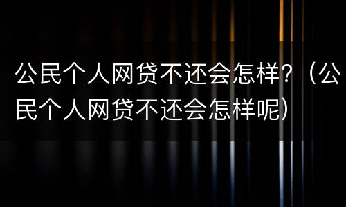 公民个人网贷不还会怎样?（公民个人网贷不还会怎样呢）