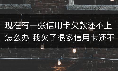 现在有一张信用卡欠款还不上怎么办 我欠了很多信用卡还不上怎么办