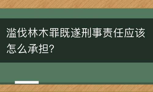 滥伐林木罪既遂刑事责任应该怎么承担？