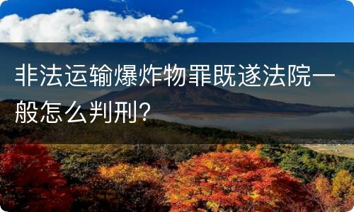 非法运输爆炸物罪既遂法院一般怎么判刑?