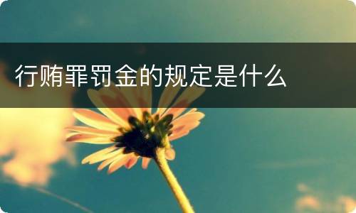 行贿罪罚金的规定是什么