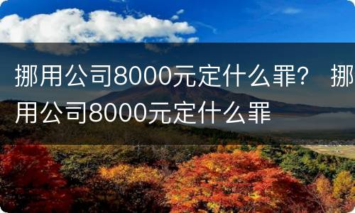 挪用公司8000元定什么罪？ 挪用公司8000元定什么罪