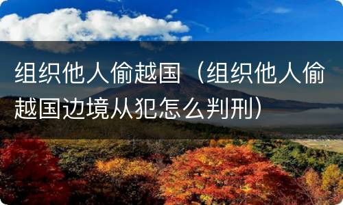 组织他人偷越国（组织他人偷越国边境从犯怎么判刑）
