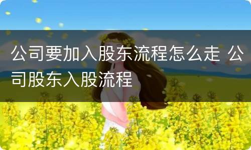 公司要加入股东流程怎么走 公司股东入股流程