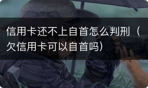 信用卡还不上自首怎么判刑（欠信用卡可以自首吗）