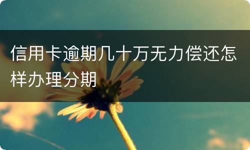 信用卡逾期几十万无力偿还怎样办理分期