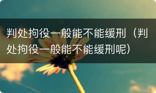 判处拘役一般能不能缓刑（判处拘役一般能不能缓刑呢）