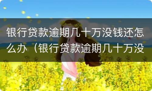 银行贷款逾期几十万没钱还怎么办（银行贷款逾期几十万没钱还怎么办理）