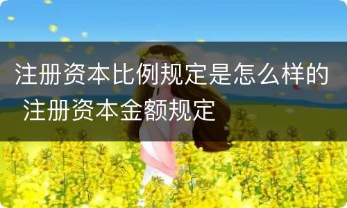 注册资本比例规定是怎么样的 注册资本金额规定