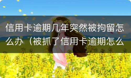 信用卡逾期几年突然被拘留怎么办（被抓了信用卡逾期怎么办）