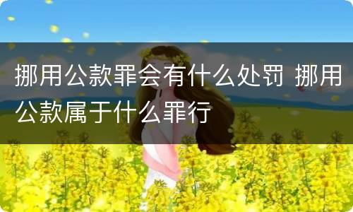 挪用公款罪会有什么处罚 挪用公款属于什么罪行