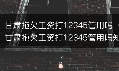甘肃拖欠工资打12345管用吗（甘肃拖欠工资打12345管用吗知乎）
