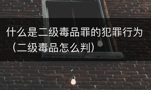 什么是二级毒品罪的犯罪行为（二级毒品怎么判）