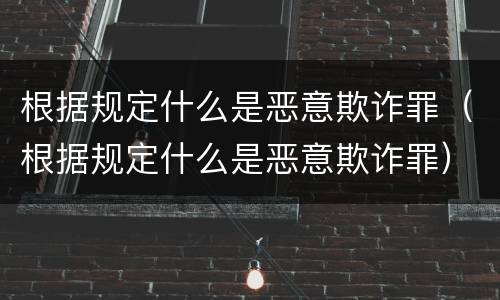 根据规定什么是恶意欺诈罪（根据规定什么是恶意欺诈罪）