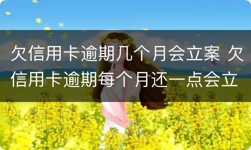 欠信用卡逾期几个月会立案 欠信用卡逾期每个月还一点会立案吗