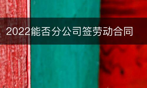2022能否分公司签劳动合同