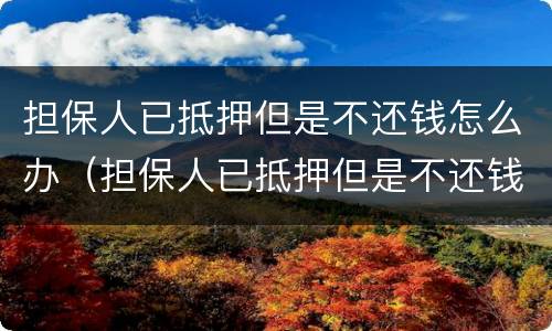 担保人已抵押但是不还钱怎么办（担保人已抵押但是不还钱怎么办呢）