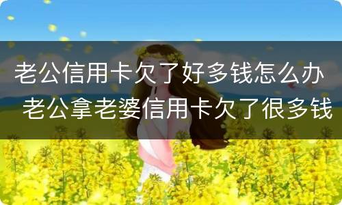 老公信用卡欠了好多钱怎么办 老公拿老婆信用卡欠了很多钱