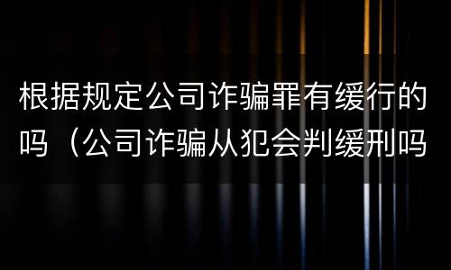 根据规定公司诈骗罪有缓行的吗（公司诈骗从犯会判缓刑吗）