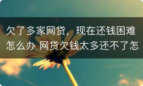 欠了多家网贷，现在还钱困难怎么办 网贷欠钱太多还不了怎么办