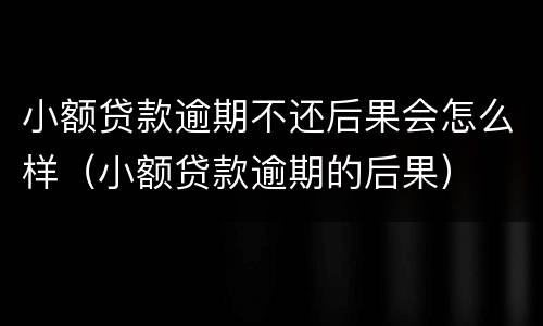 小额贷款逾期不还后果会怎么样（小额贷款逾期的后果）