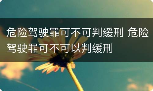 危险驾驶罪可不可判缓刑 危险驾驶罪可不可以判缓刑