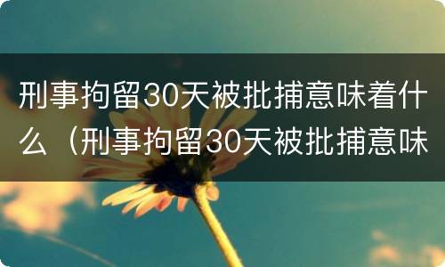 刑事拘留30天被批捕意味着什么（刑事拘留30天被批捕意味着什么问题）