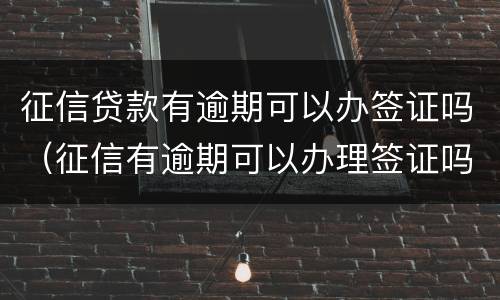 征信贷款有逾期可以办签证吗（征信有逾期可以办理签证吗）