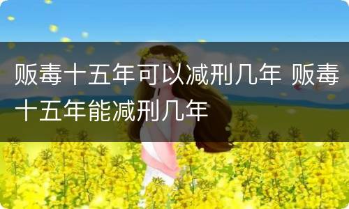 贩毒十五年可以减刑几年 贩毒十五年能减刑几年