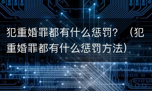 犯重婚罪都有什么惩罚？（犯重婚罪都有什么惩罚方法）