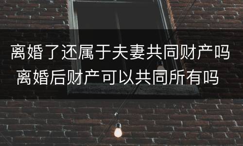 离婚了还属于夫妻共同财产吗 离婚后财产可以共同所有吗