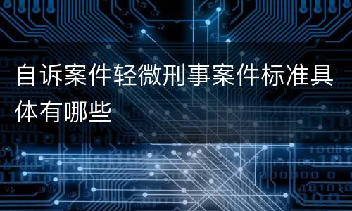 自诉案件轻微刑事案件标准具体有哪些