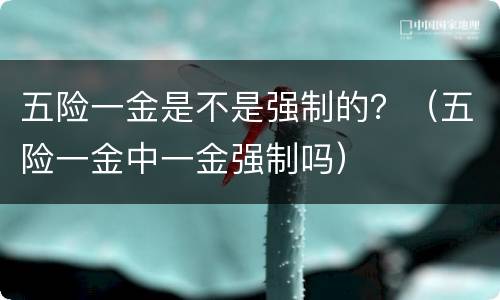五险一金是不是强制的？（五险一金中一金强制吗）