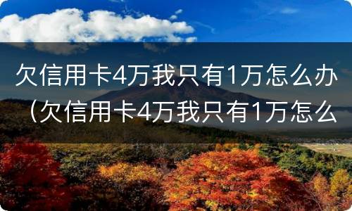 欠信用卡4万我只有1万怎么办（欠信用卡4万我只有1万怎么办理）