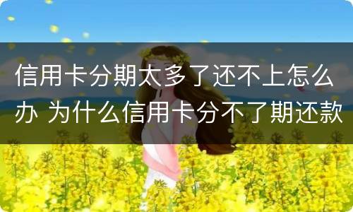 信用卡分期太多了还不上怎么办 为什么信用卡分不了期还款