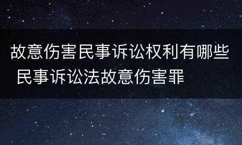 故意伤害民事诉讼权利有哪些 民事诉讼法故意伤害罪