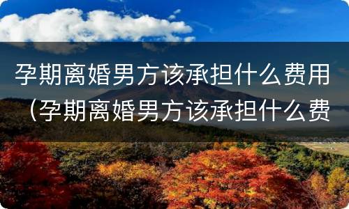 孕期离婚男方该承担什么费用（孕期离婚男方该承担什么费用给女方）