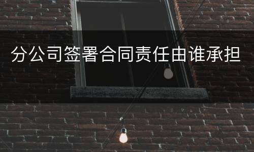 分公司签署合同责任由谁承担