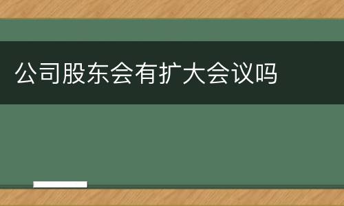 公司股东会有扩大会议吗