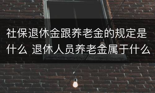 社保退休金跟养老金的规定是什么 退休人员养老金属于什么社会保障