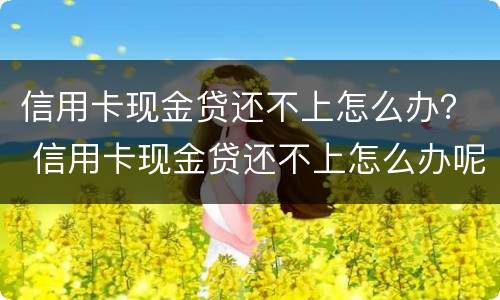 信用卡现金贷还不上怎么办？ 信用卡现金贷还不上怎么办呢