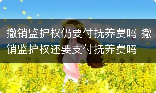 撤销监护权仍要付抚养费吗 撤销监护权还要支付抚养费吗