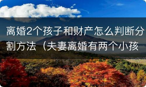 离婚2个孩子和财产怎么判断分割方法（夫妻离婚有两个小孩财产是怎么分配）