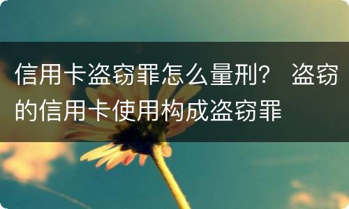 信用卡盗窃罪怎么量刑？ 盗窃的信用卡使用构成盗窃罪