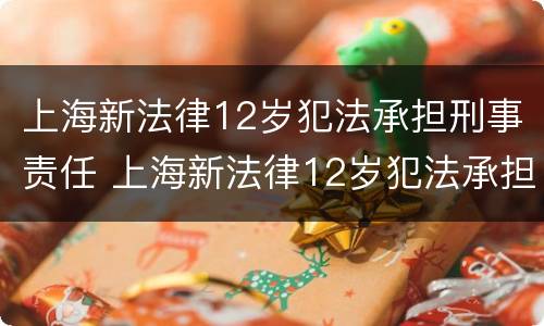 上海新法律12岁犯法承担刑事责任 上海新法律12岁犯法承担刑事责任嘛